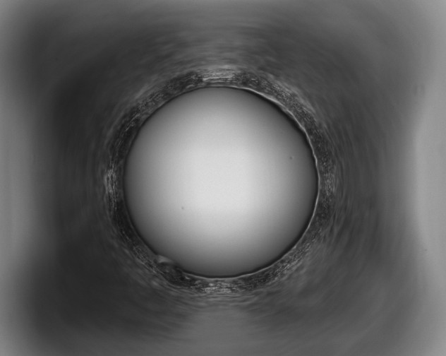X0000098131445200804171049