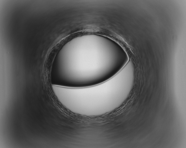 X0000098131448200804171049