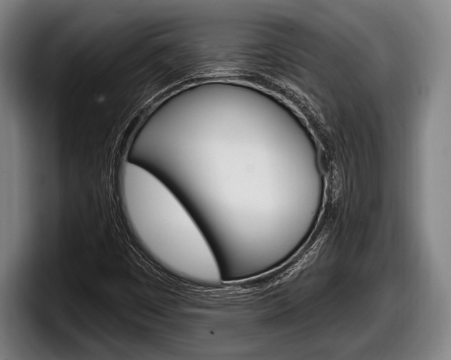 X0000098131449200804171049