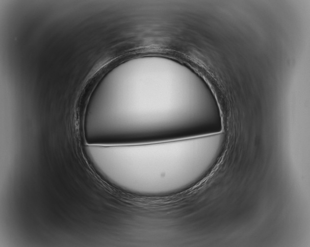 X0000098131450200804171049