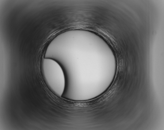 X0000098131451200804171049