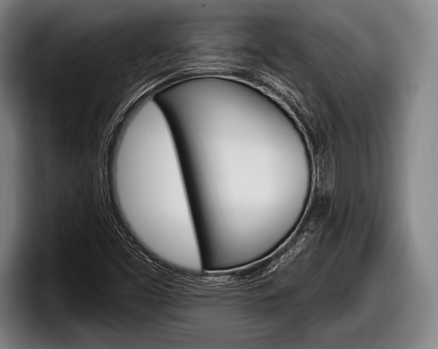 X0000098131453200804171049