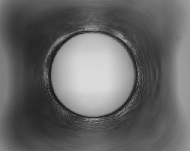 X0000098131454200804171049