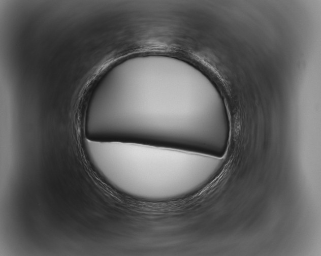 X0000098131455200804171049