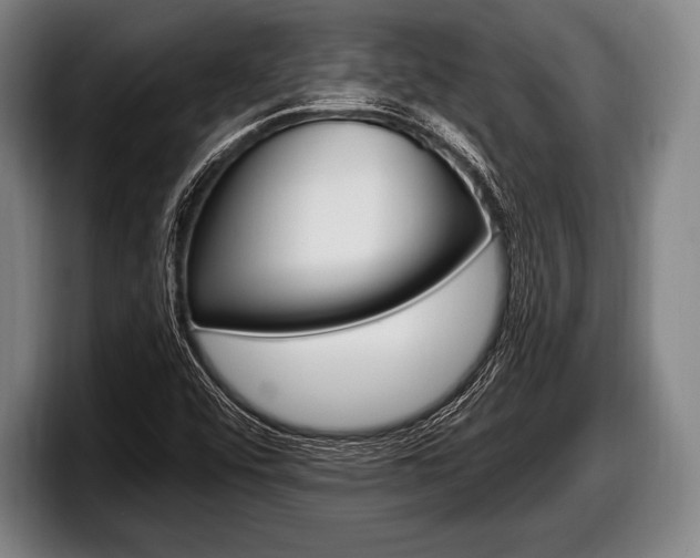 X0000098131456200804171049
