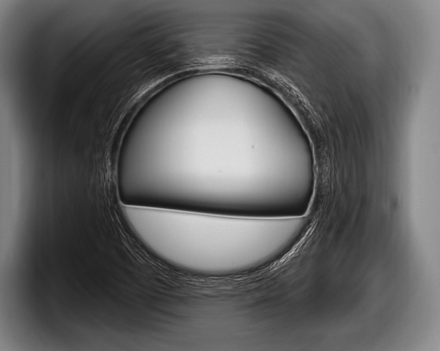 X0000098131457200804171049