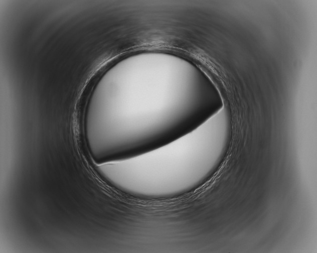 X0000098131458200804171049
