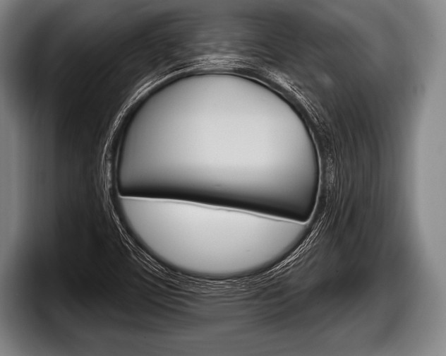 X0000098131459200804171049