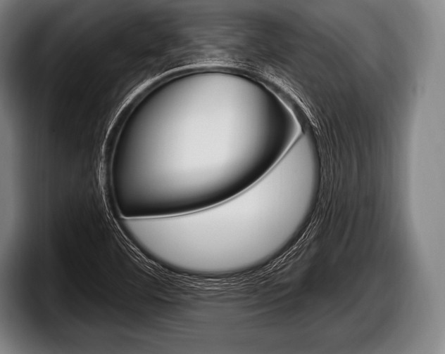 X0000098131460200804171049