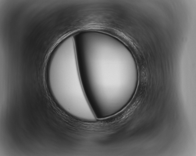 X0000098131461200804171049