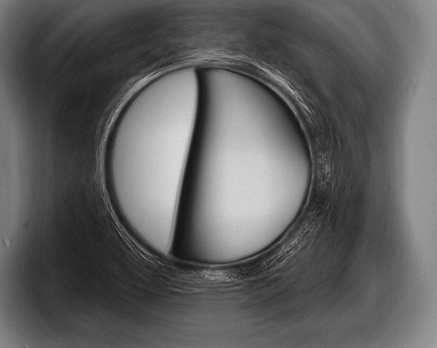 X0000098131463200804171049