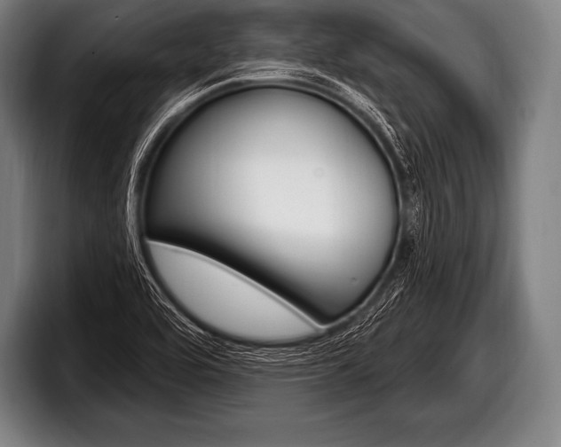X0000098131464200804171049
