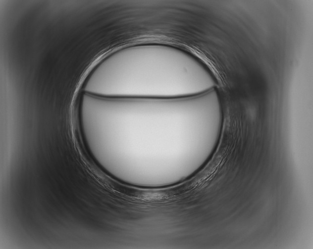 X0000098131467200804171049