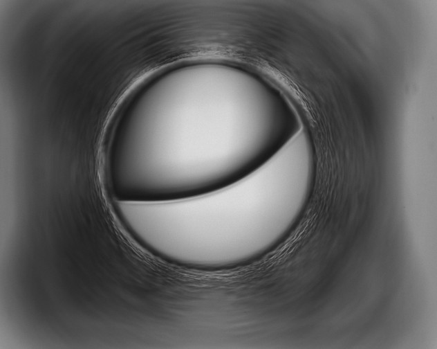 X0000098131468200804171049