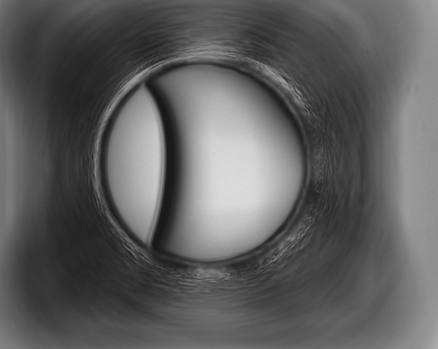 X0000098131469200804171049