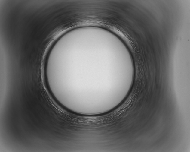 X0000098131470200804171049
