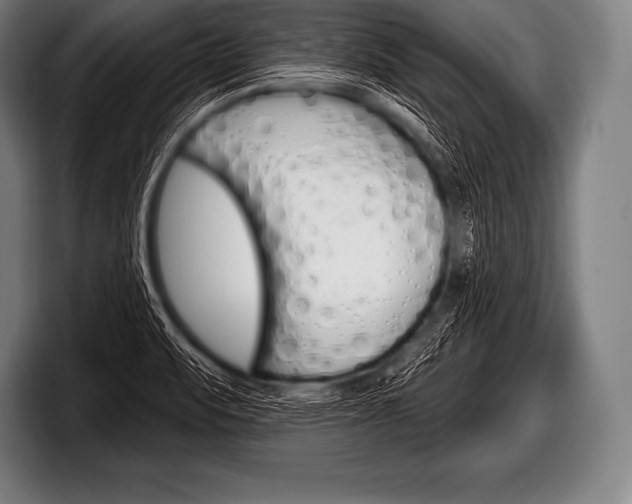 X0000098131471200804171049