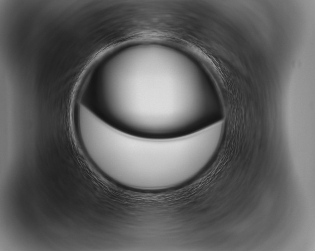 X0000098131472200804171049
