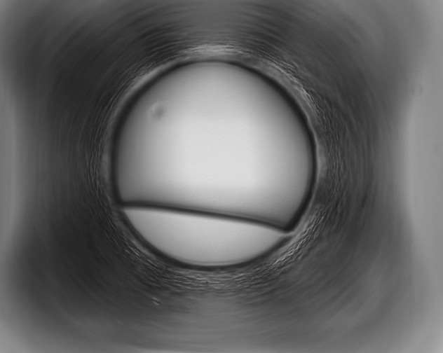 X0000098131473200804171049