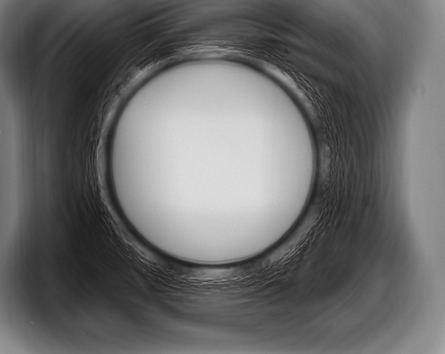 X0000098131474200804171049