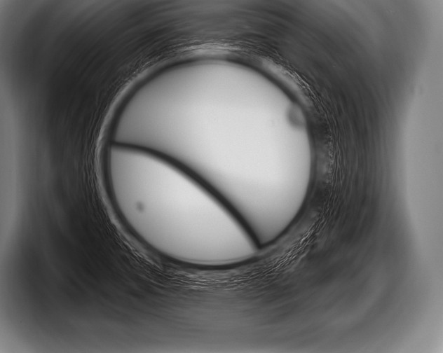 X0000098131475200804171049