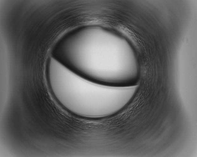 X0000098131476200804171049
