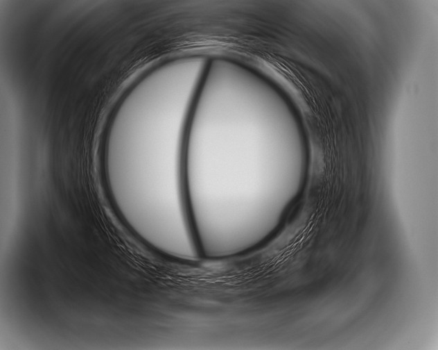 X0000098131477200804171049