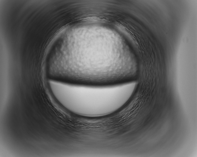 X0000098131479200804171049
