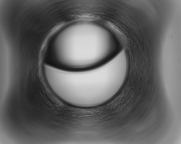X0000098131480200804171049