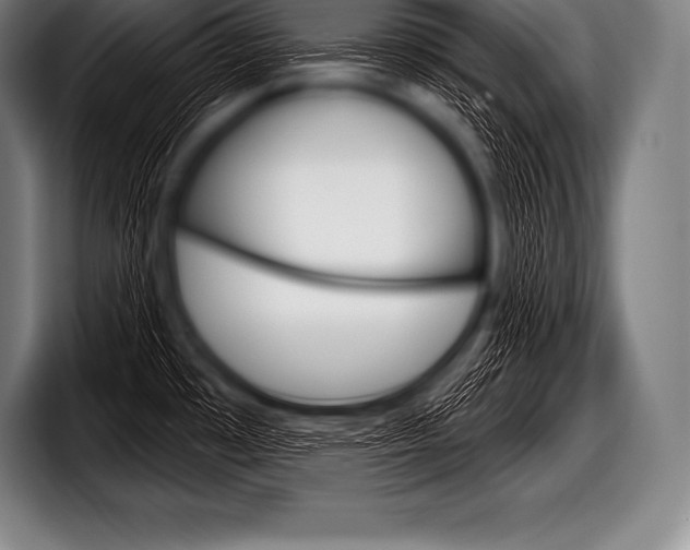 X0000098131481200804171049