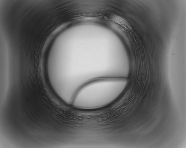 X0000098131482200804171049
