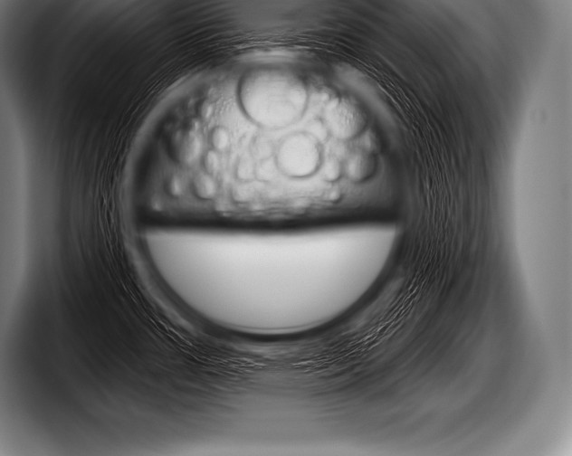 X0000098131483200804171049