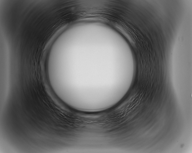 X0000098131484200804171049