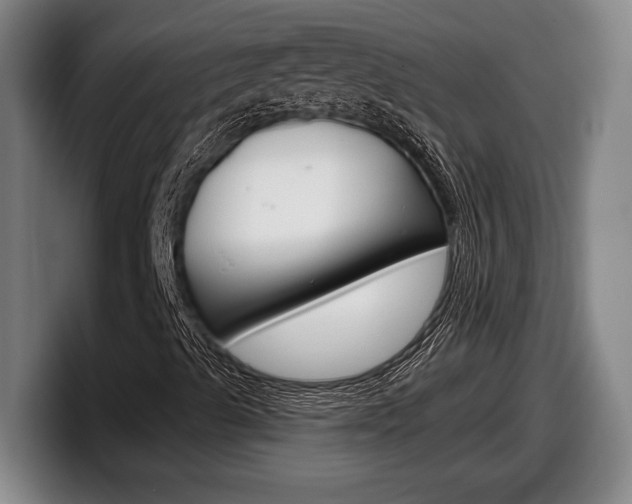 X0000098131489200804171048