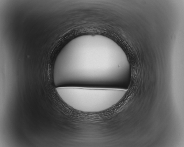 X0000098131490200804171048