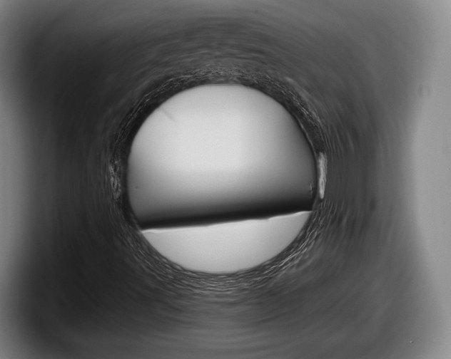 X0000098131491200804171048