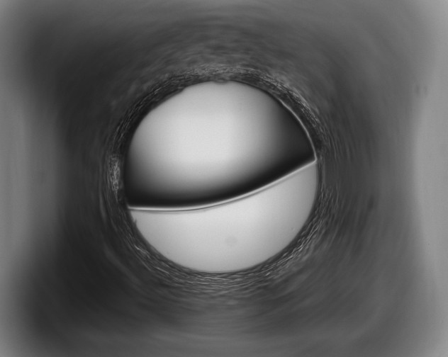 X0000098131492200804171048