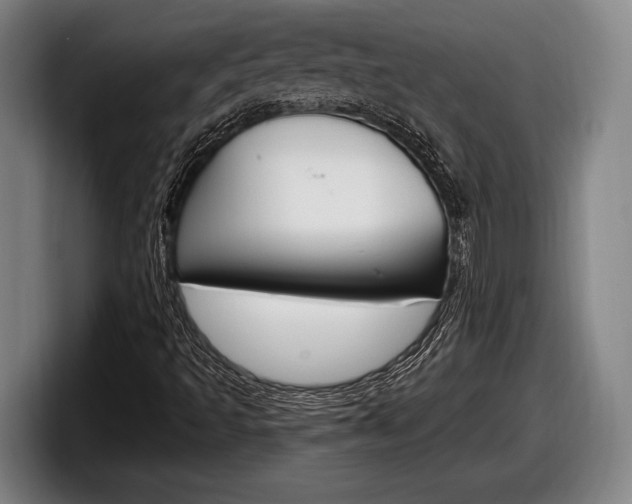 X0000098131493200804171048