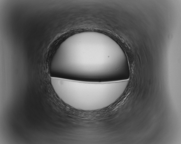 X0000098131494200804171048
