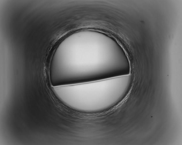 X0000098131497200804171048
