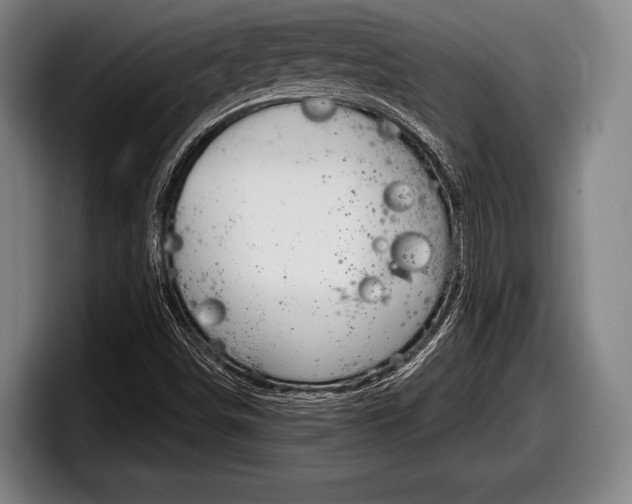 X0000098131498200804171048