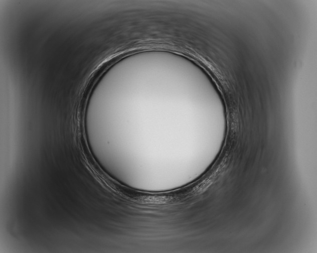 X0000098131499200804171048