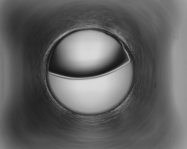 X0000098131500200804171048