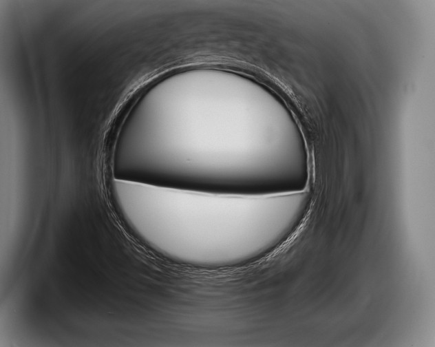 X0000098131501200804171048