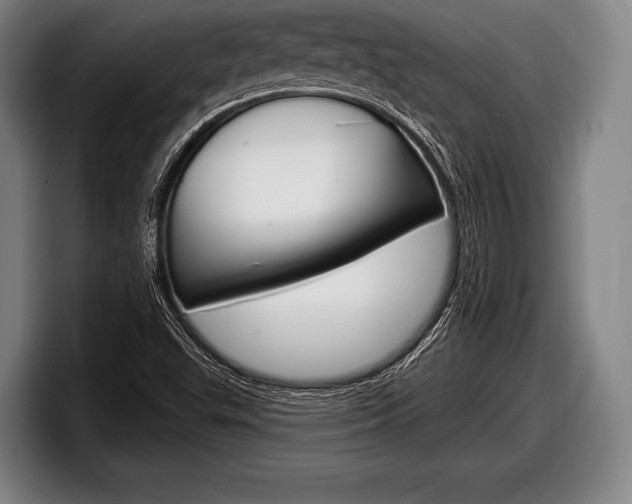 X0000098131503200804171048