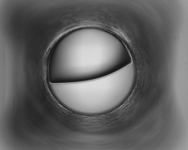 X0000098131504200804171048