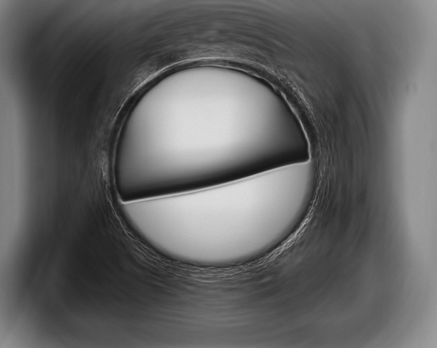 X0000098131505200804171048
