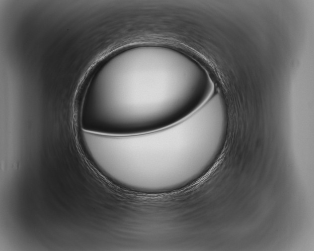 X0000098131506200804171048
