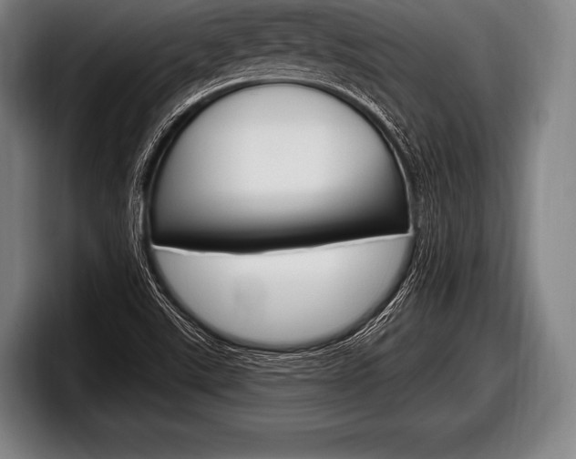X0000098131507200804171048