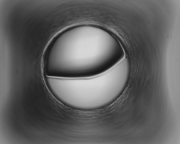 X0000098131508200804171048